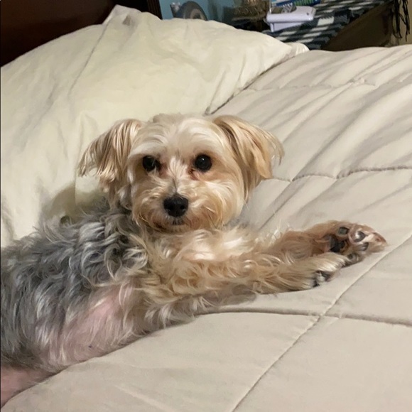 Meet your Posher, Jo anna - Picture 1 of 1